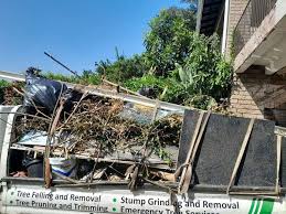 Best Attic Cleanout  in Hartley, CA